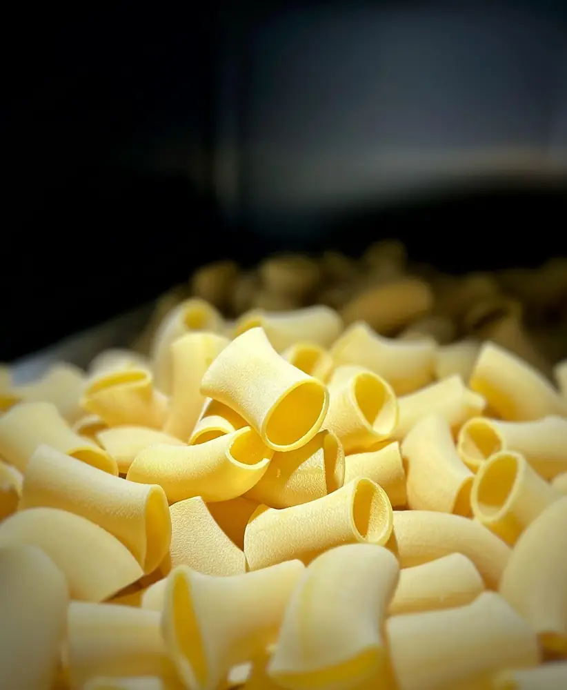Paccheri